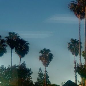 Meet your Posher, Hailey